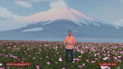 ¿En qué consiste la polinización?