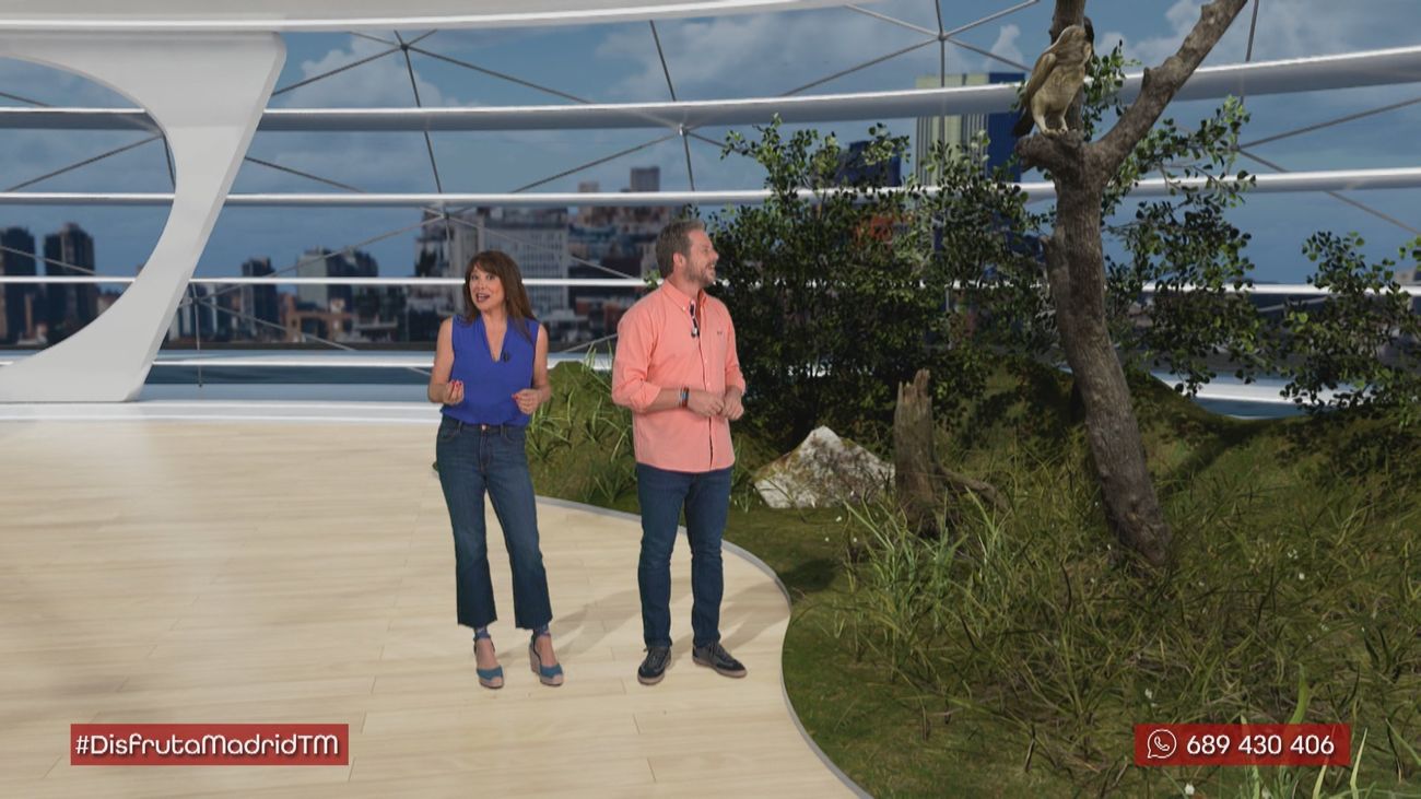 Descubre un oasis de aves en Madrid: Las Lagunas de Velilla