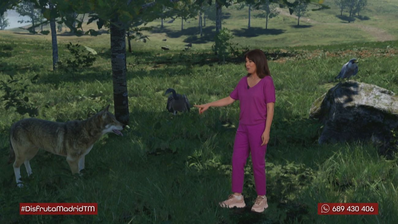 La biodiversidad de la Comunidad de Madrid de una forma diferente