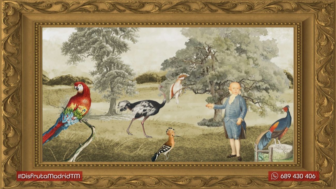 ¿Conoces la historia de la Casa de Aves de Boadilla del Monte?