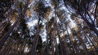 La Sierra Norte convoca un concurso de fotografía para atraer más turismo