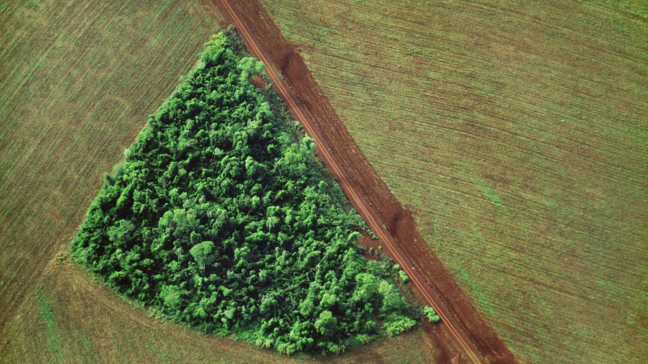 La Humanidad ha alterado el 75% de las tierras y el 66% de los océanos, según la ONU