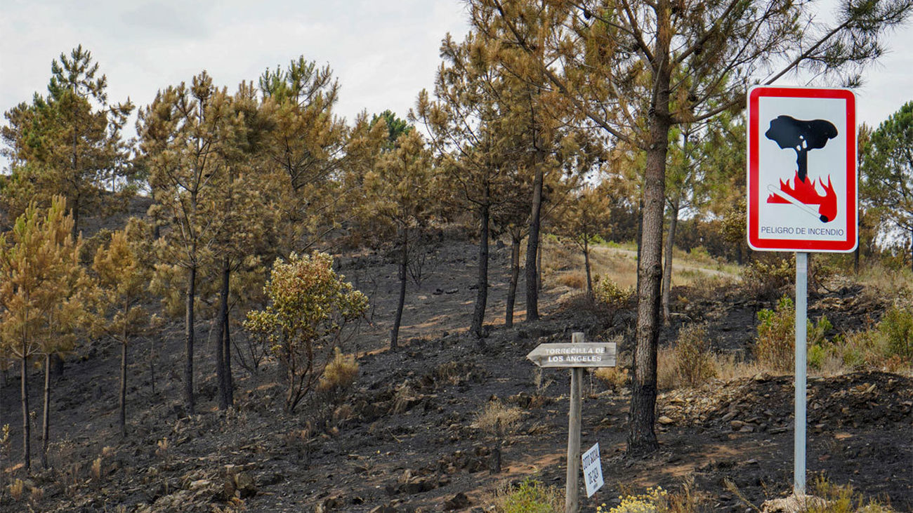 Los efectos un incendio en la comarca cacereña de Las Hurdes