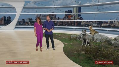 ¿Dónde y cómo avistar al lobo ibérico en Madrid?