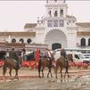 El Rocío, romería con lluvia y barro