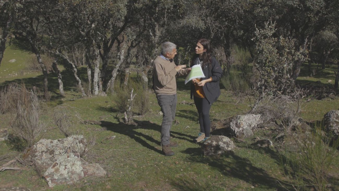 Los yacimientos de la Dehesa de Moncalvillo