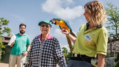 Beneficios del contacto de los más mayores con los animales