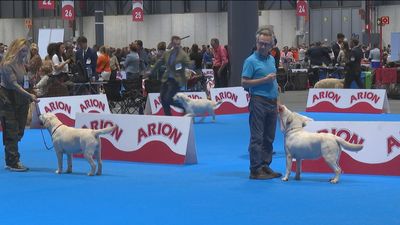 El paraíso de las mascotas se encuentra en IFEMA este fin de semana
