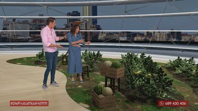 El dúo perfecto del verano:  así se cultivan la sandía y el melón