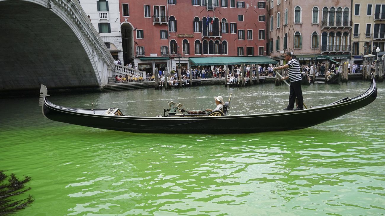 Gran Canal de Venecia teñido de verde