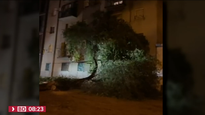 La tormenta hace caer un árbol y arranca de cuajo una terraza en Villaverde