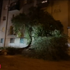La tormenta hace caer un árbol y arranca de cuajo una terraza en Villaverde