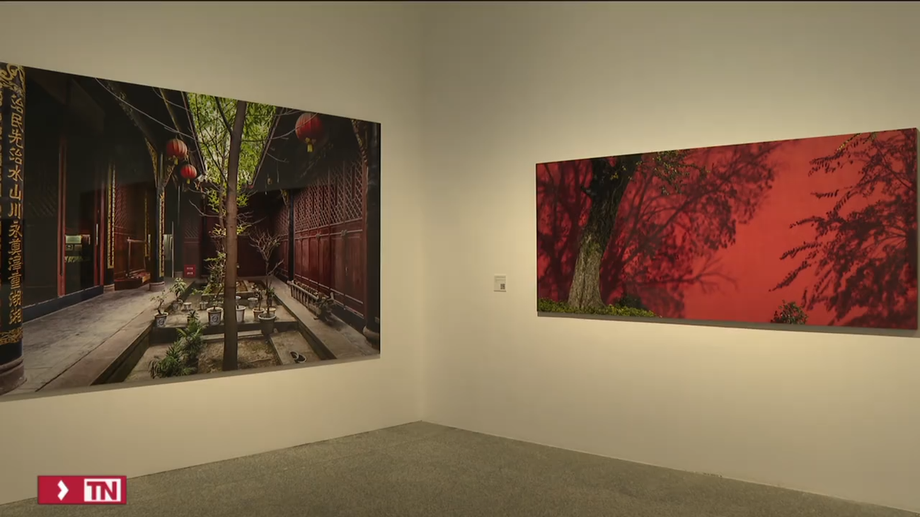 PhotoEspaña enfoca roles de género, medioambiente y lazos con el arte