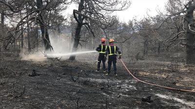 Incendios forestales, la prevención es la clave