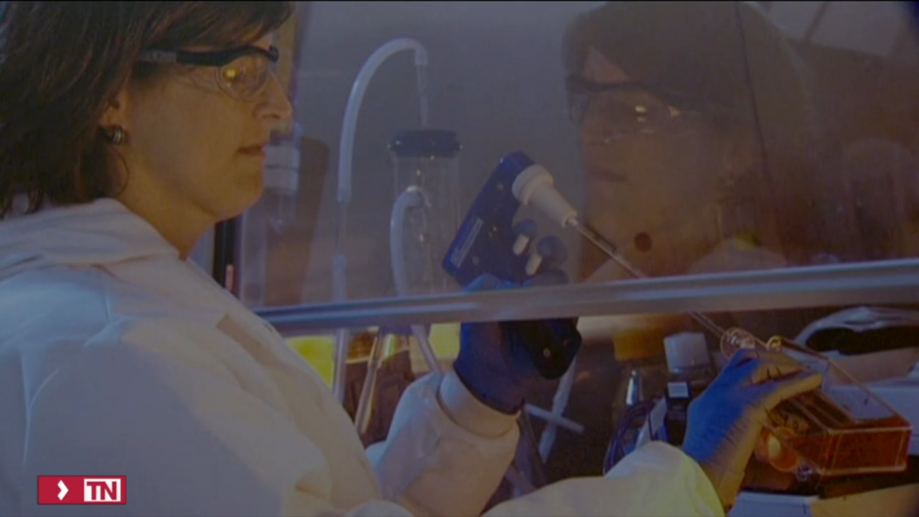 La Iniciativa Medicamentos para Enfermedades Desatendidas, Premio Princesa de Asturias