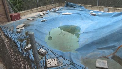 Una sentencia da la razón a unos vecinos a los que querían cobrar 80.000 euros tras rescindir un contrato