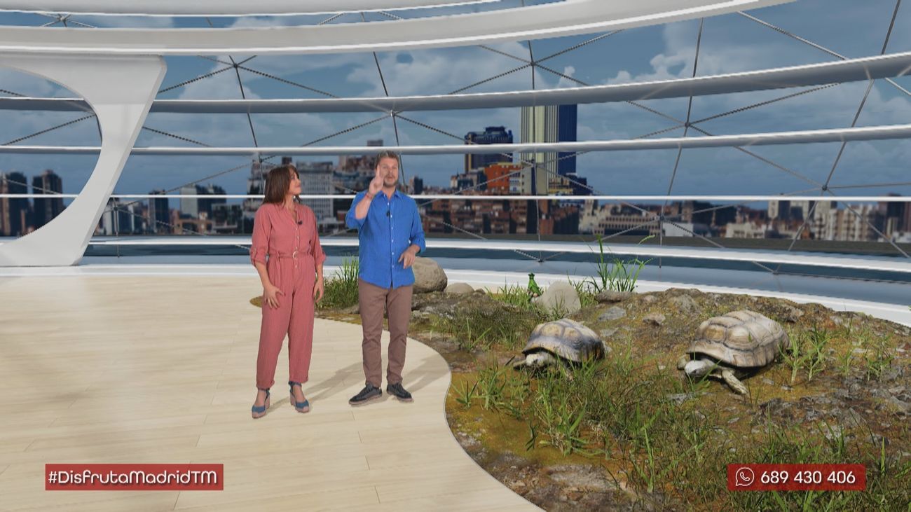 Aprender y viajar por el tiempo ... sin moverse de Madrid