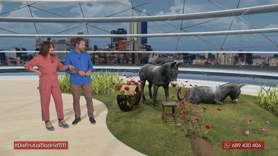 Burros y tradición: plantando tomates a la antigua usanza