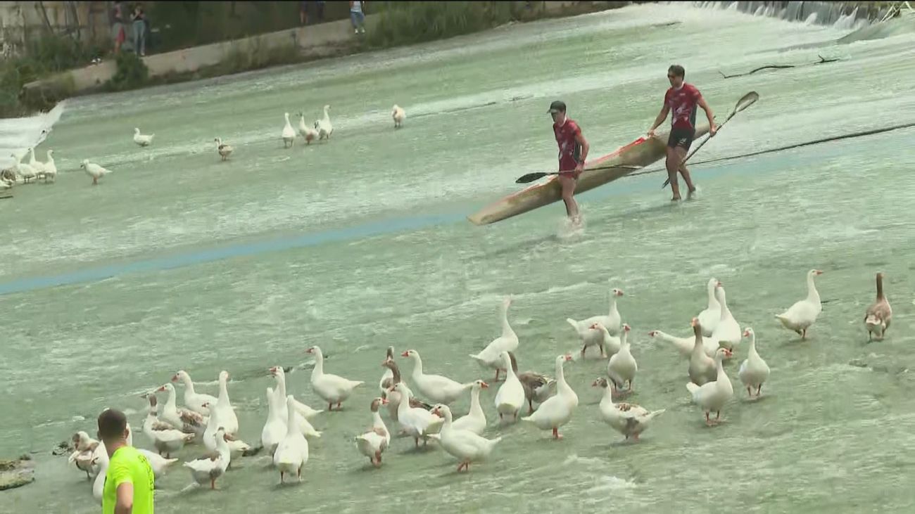 Aranjuez, escenario del Raphel Nacional del Tajo
