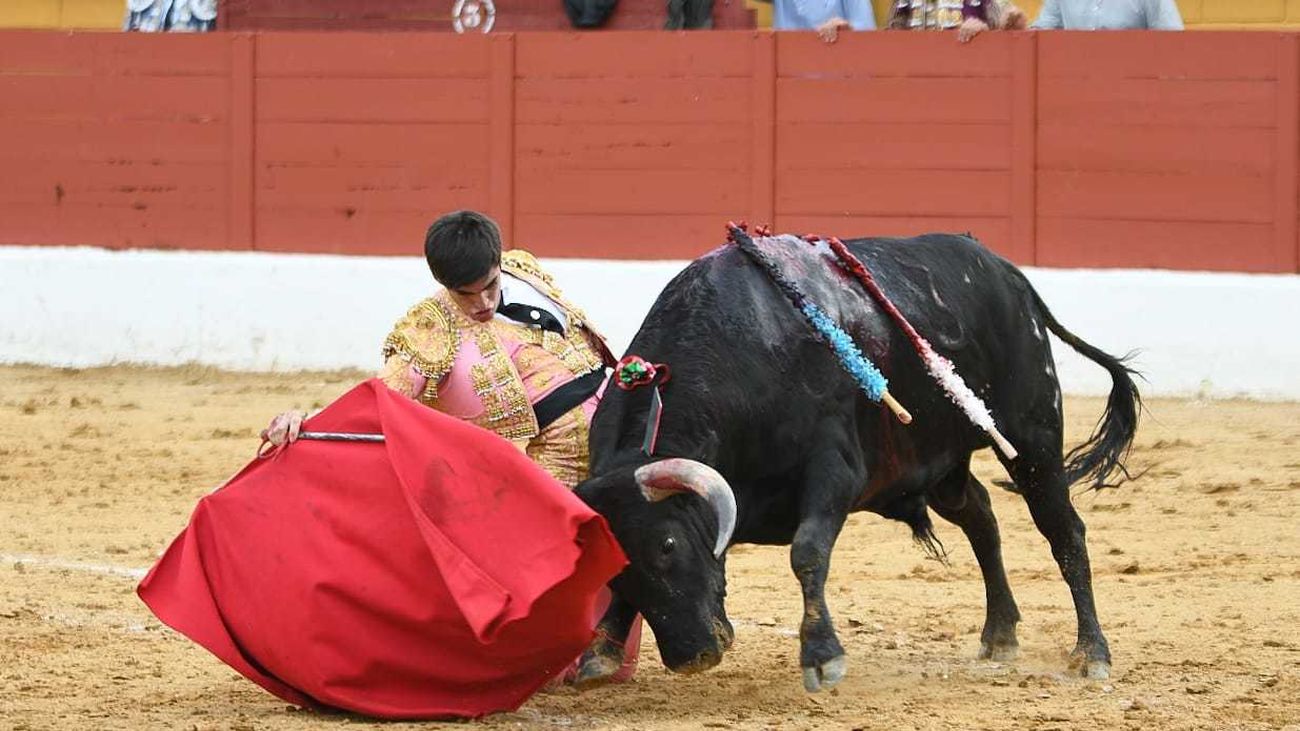 Vueltas para Chinchón, De la Calzada y Cirugeda ante una gran novillada de Baltasar Ibán en San Agustín de Guadalix