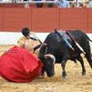 Vueltas para Chinchón, De la Calzada y Cirugeda ante una gran novillada de Baltasar Ibán en San Agustín del Guadalix