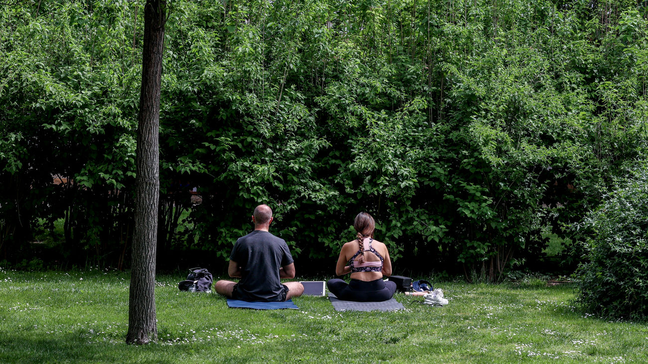Dos personas hacen yoga en un parque