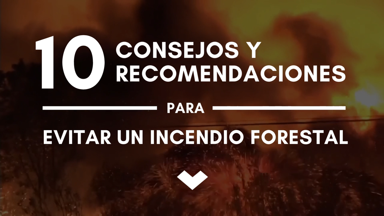 5 consejos y 5 recomendaciones para evitar un incendio forestal