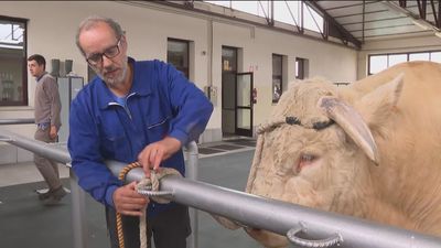 La Comunidad repartirá 115 toneladas de pienso para el ganado