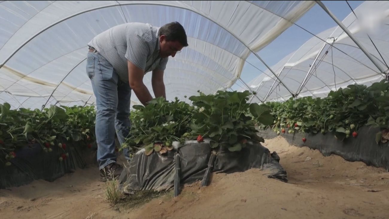 Teresa Ribera "tiende la mano" a solucionar los problemas en Doñana