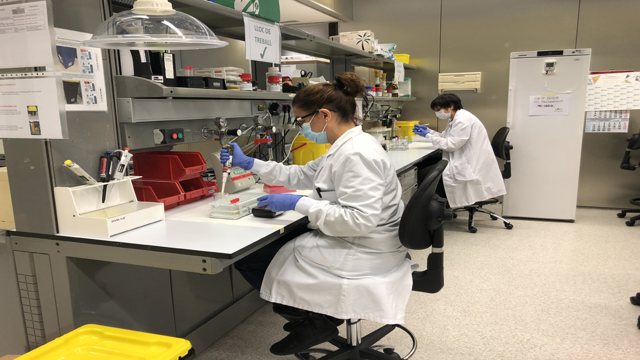 Madrid se Mueve 11.06.2023