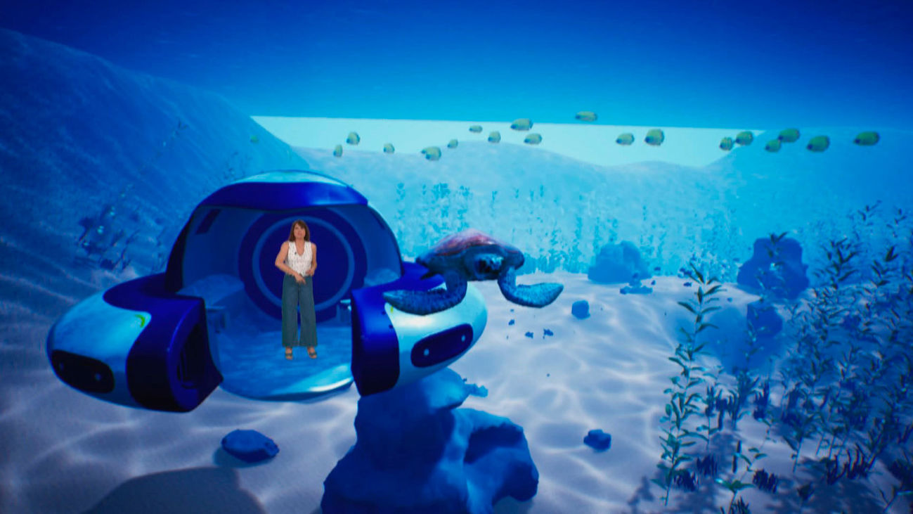 Todo lo que debes saber sobre las tortugas