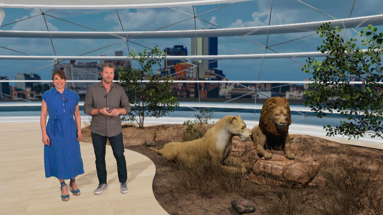 Curiosidades y secretos sobre los cachorros de león