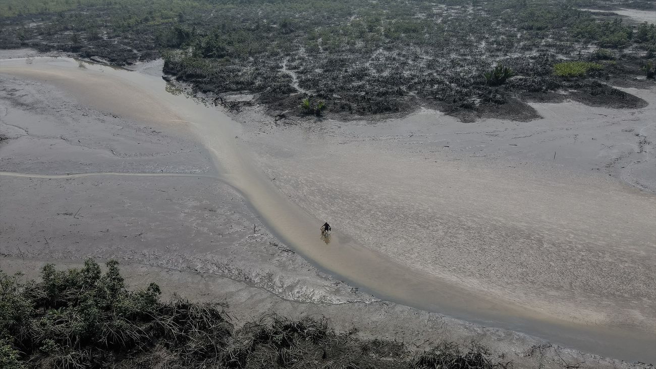 Delta del río Níger