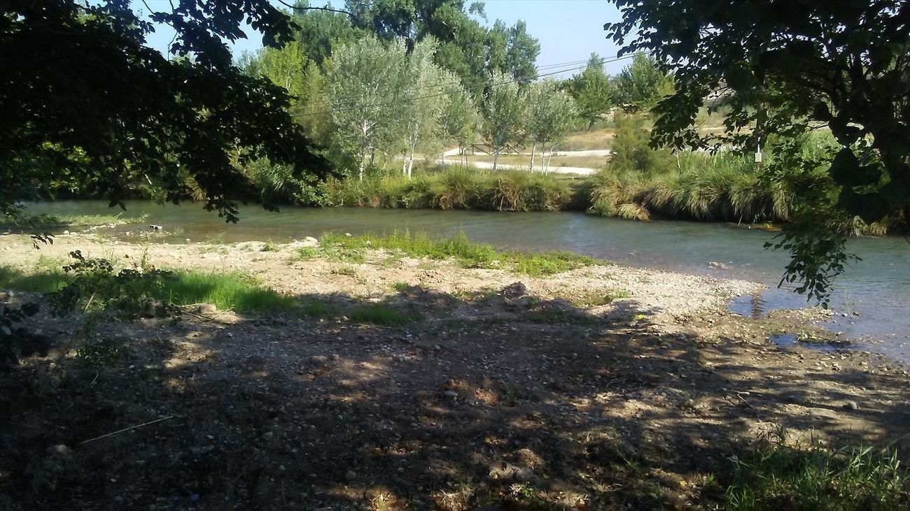 Parque fluvial del Río Turia