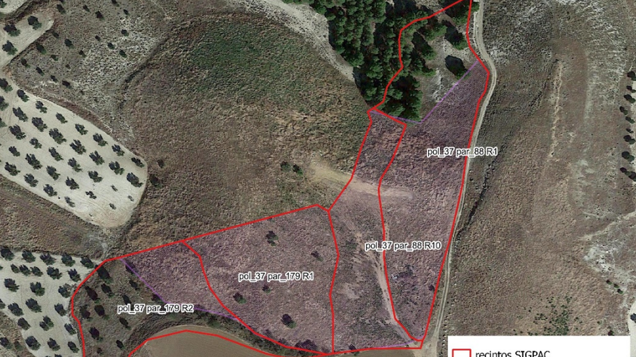 Zonas propuestas para la reforestación en Chinchón