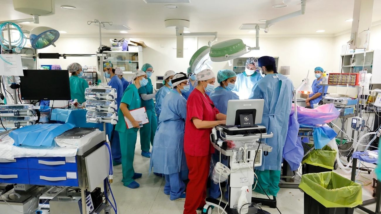 Una placenta artificial para ultraprematuros logra 12 días de supervivencia en animales