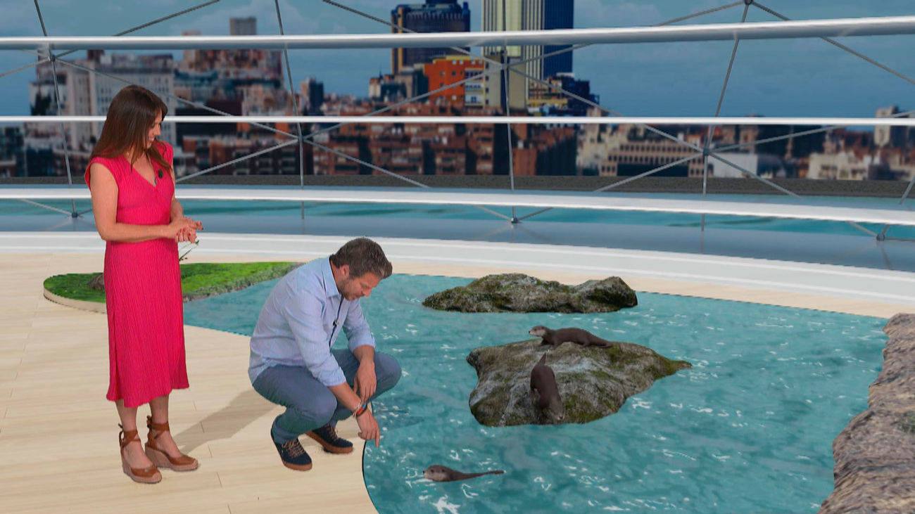 Vamos de senda ecológica a Talamanca de Jarama