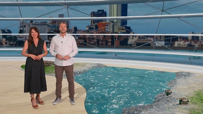 Así es el proceso de cortejo de los patos