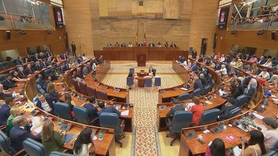 El PP registra en la Asamblea de Madrid mociones contra la amnistía y por la igualdad