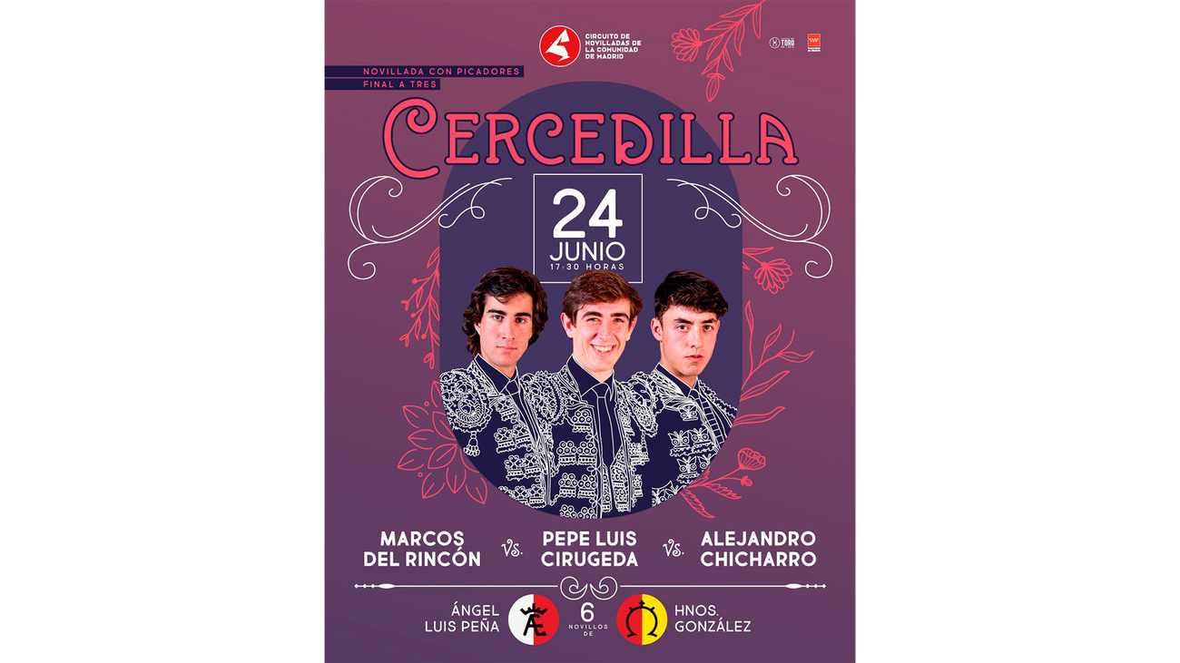 FOTO CARTEL NOVILLADA HD