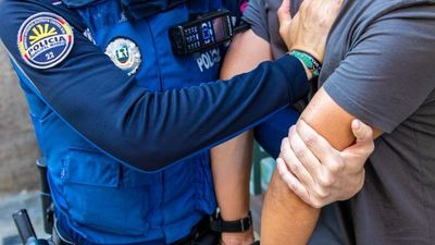 Detenido en Vallecas tras pegar a su mujer y azuzar un perro peligroso contra la Policía