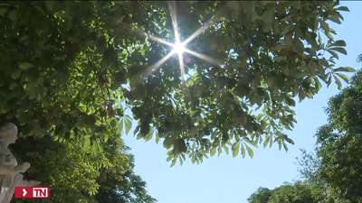 El Ayuntamiento de Madrid activa el protocolo por altas temperaturas