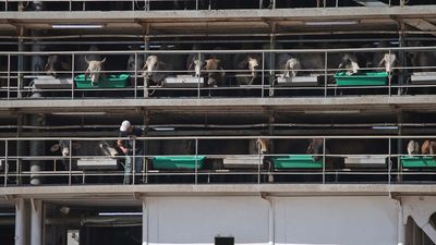 El barco retenido en Cádiz emprende viaje tras no hallarse droga en su interior