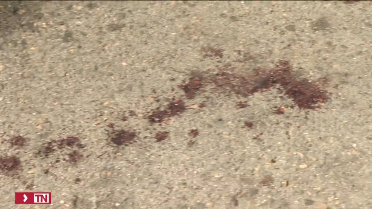 Buscan al hombre que apuñaló a otro en Latina tras discutir por una pequeña deuda