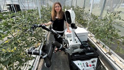 Crean en Madrid un robot para recolectar fruta en los invernaderos
