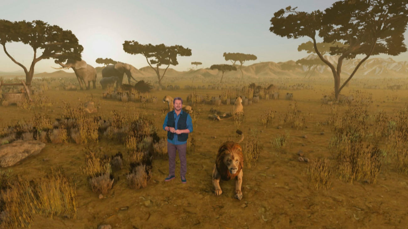 Tipos de bosques tropicales: conoce las diferencias