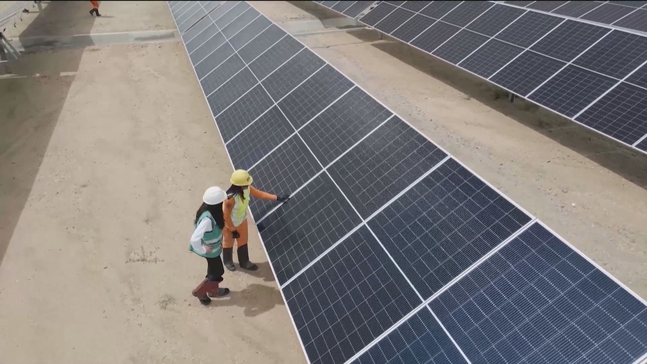 Iberdrola crea Global Green Employment, una plataforma de empleo verde