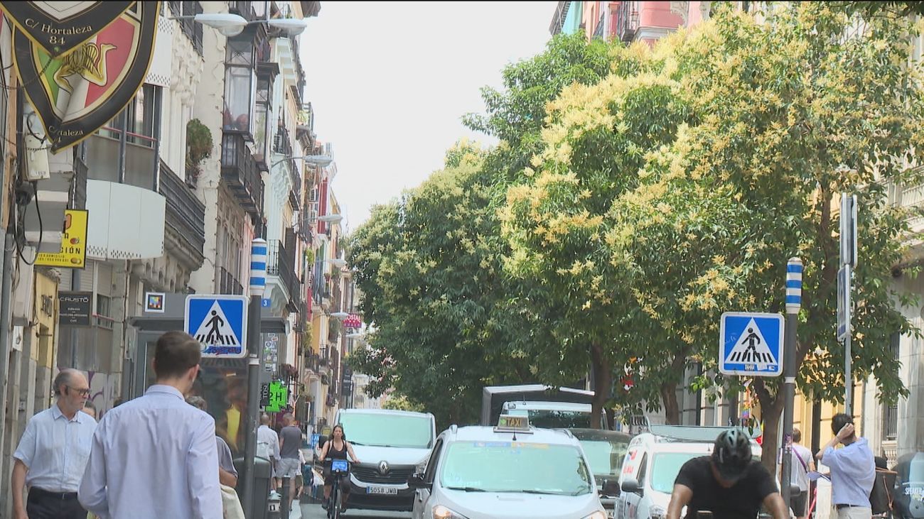 Árboles de Madrid, un patrimonio natural vital