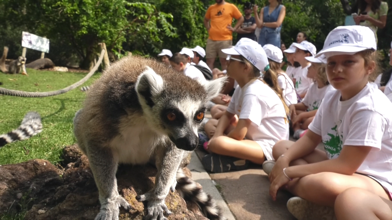 Los campamentos más originales para este verano