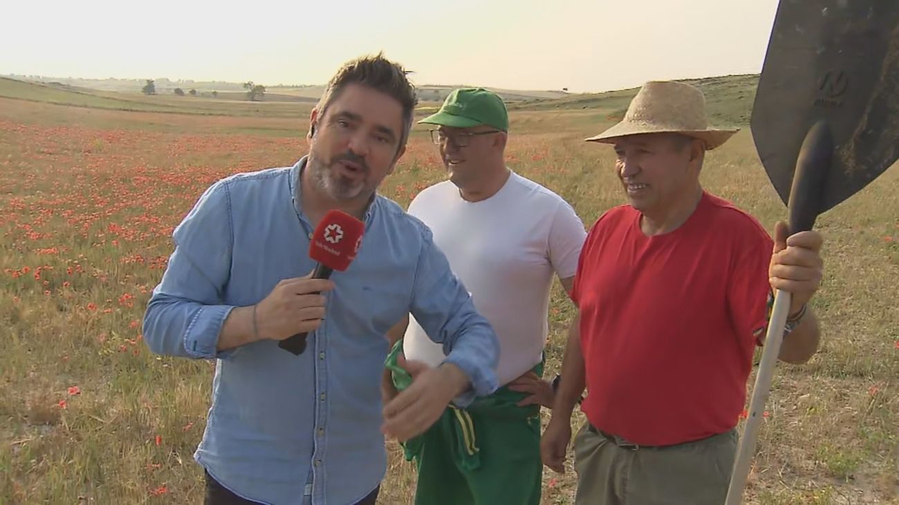Florentino, agricultor madrileño: "Calor en abril y mayo y lluvia en junio, la cosecha ha sido desastrosa"